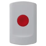 Fixed Panic Buttons alarm