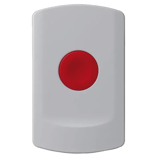 Fixed Panic Buttons alarm